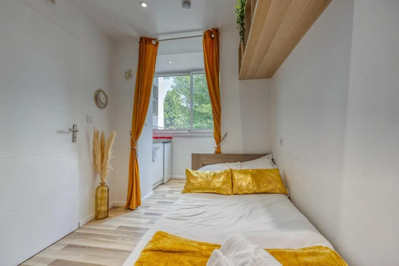 Le Taillefer 1 - Louis XIV Apartment Rhut France